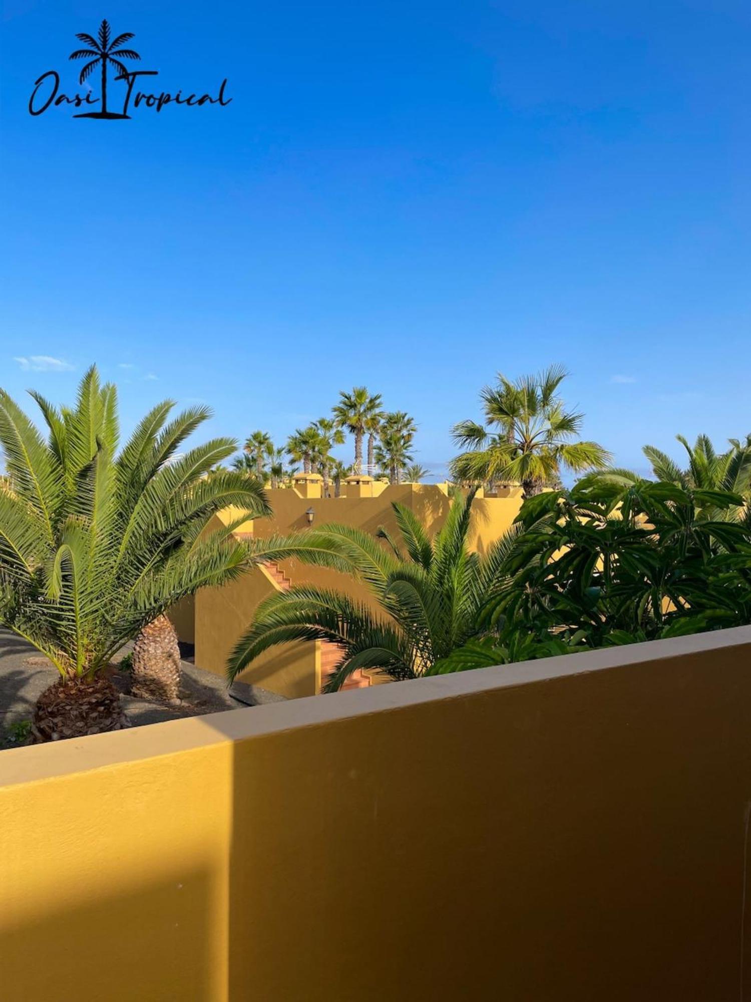 Oasi Tropical Wifi Free By Rentalfue Corralejo Exterior foto